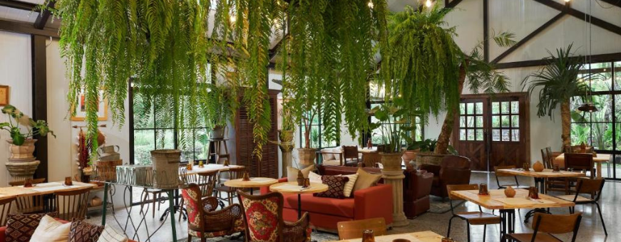 TH-KXY-Theperi-restaurant