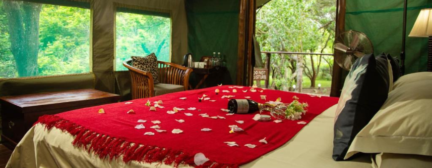 Hluhluwe, Hluhluwe Falaza Game Park