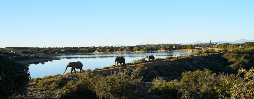 ZA, Oudtshoorn, Buffelsdrift 