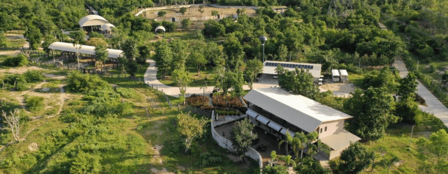 TH, Hua Hin, I Love Phants Lodge