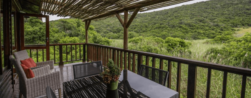 ZA, Port Elizabeth, Thunzi Bush Lodge
