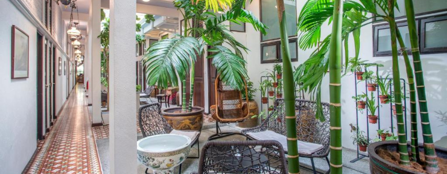 MY, Penang, Areca, Binnentuin