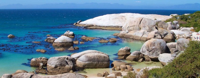 ZA, Kaap de Goede Hoop, Boulders beach (1).jpg