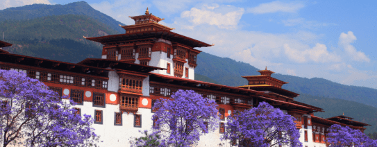 Punakha Dzong in bloei
