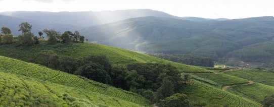Magoebaskloof