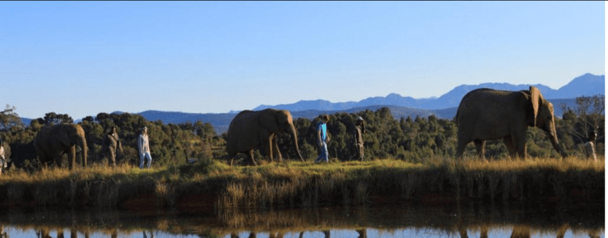 ZA, Plettenberg Bay, Lily Pond Country Lodge 