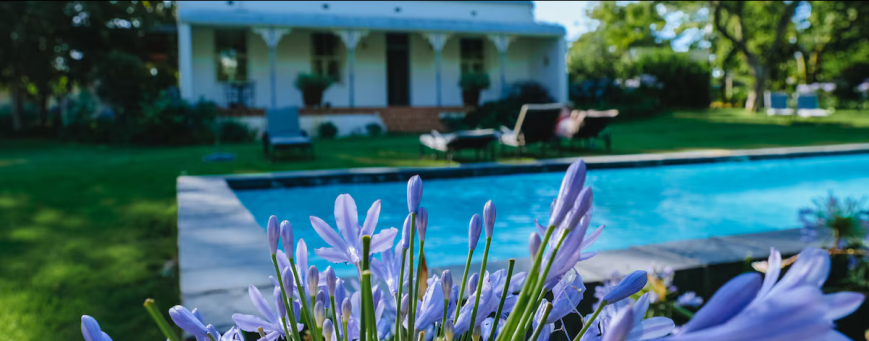 ZA, Stellenbosch, Klein Welmoed