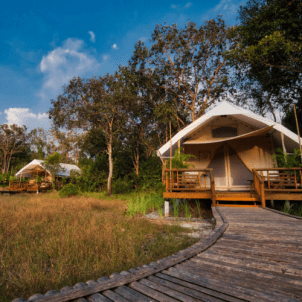 Cardamom Tented Camp, Cardamom Mountains, Cambodja