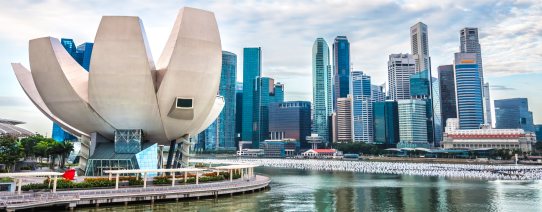 De skyline van Singapore