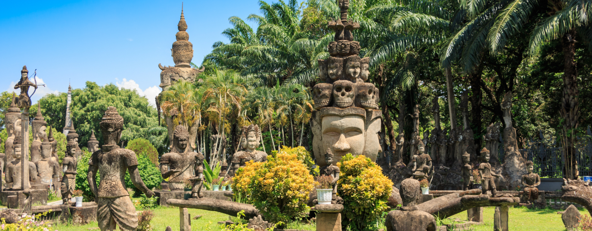 Rijstvelden in Vang Vieng