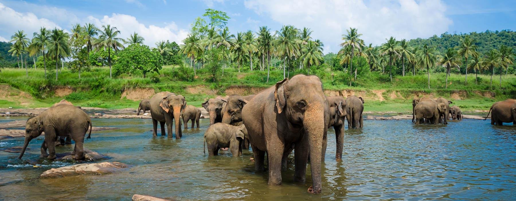 LK, Sri Lanka, Nationale parken