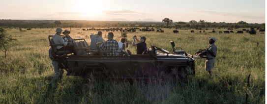 ZA, Kruger, Pungwe Safari Camp