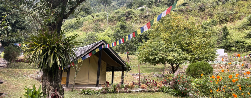 NP, Set, Seti Camp, tent