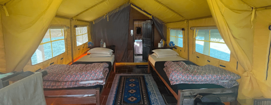 NP, Set, Seti camp, tent slaapkamer