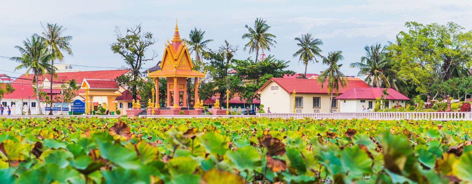 Lotus Pond, Kampot