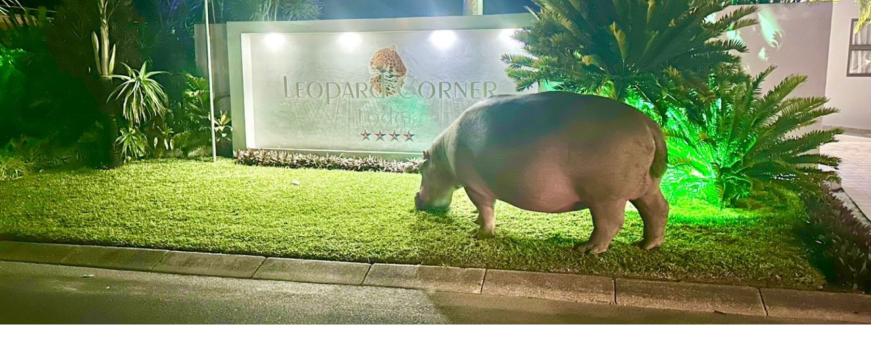 ZA, St Lucia, Leopard Corner Lodge