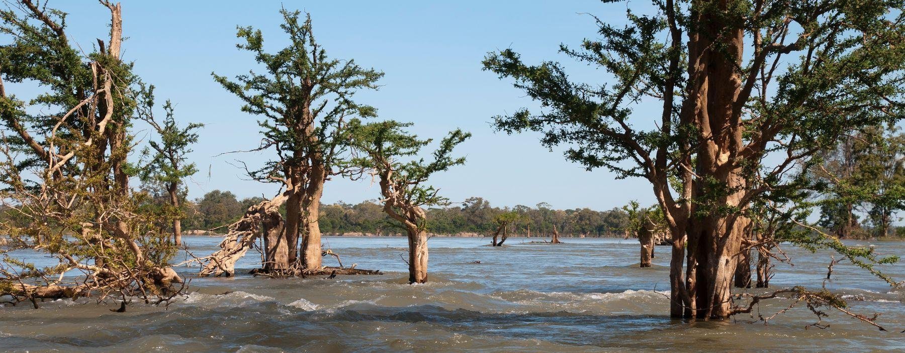 Mekong rivier, Stung Treng