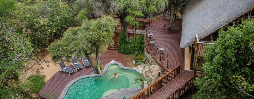 ZA, Hoedspruit, Panzi Lodge