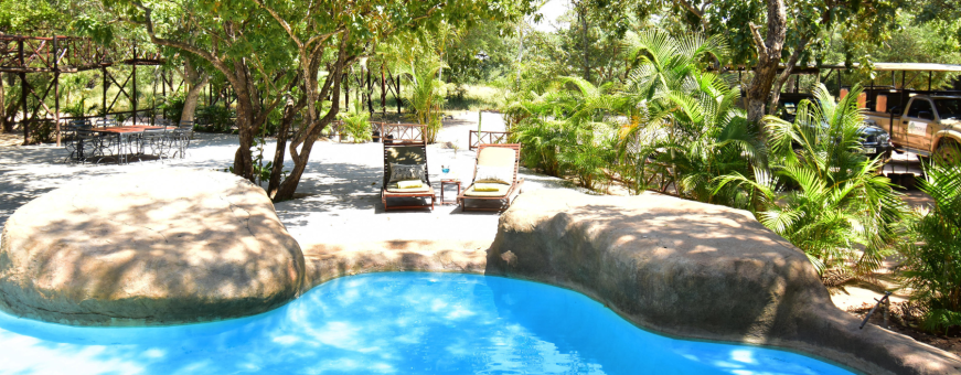 ZA, Hoedspruit, Pezulu Tree House