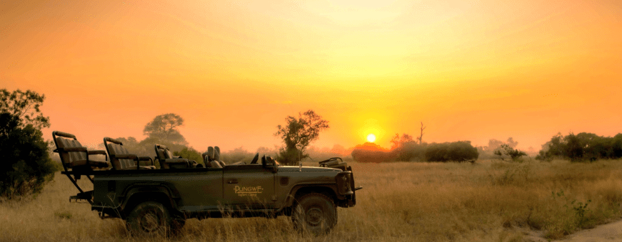 ZA, Kruger, Pungwe Safari Camp