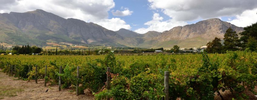 ZA, Wijngebieden, Franschhoek (4).jpg
