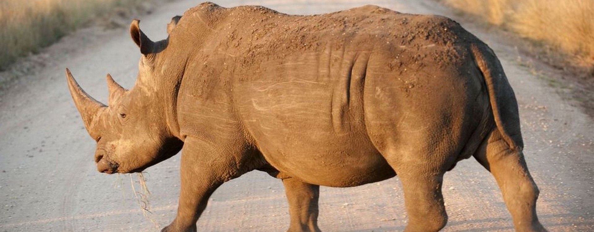 Kruger National Park