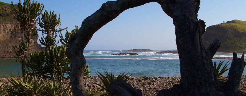 ZA, Wild Coast, Transkei (20).jpg