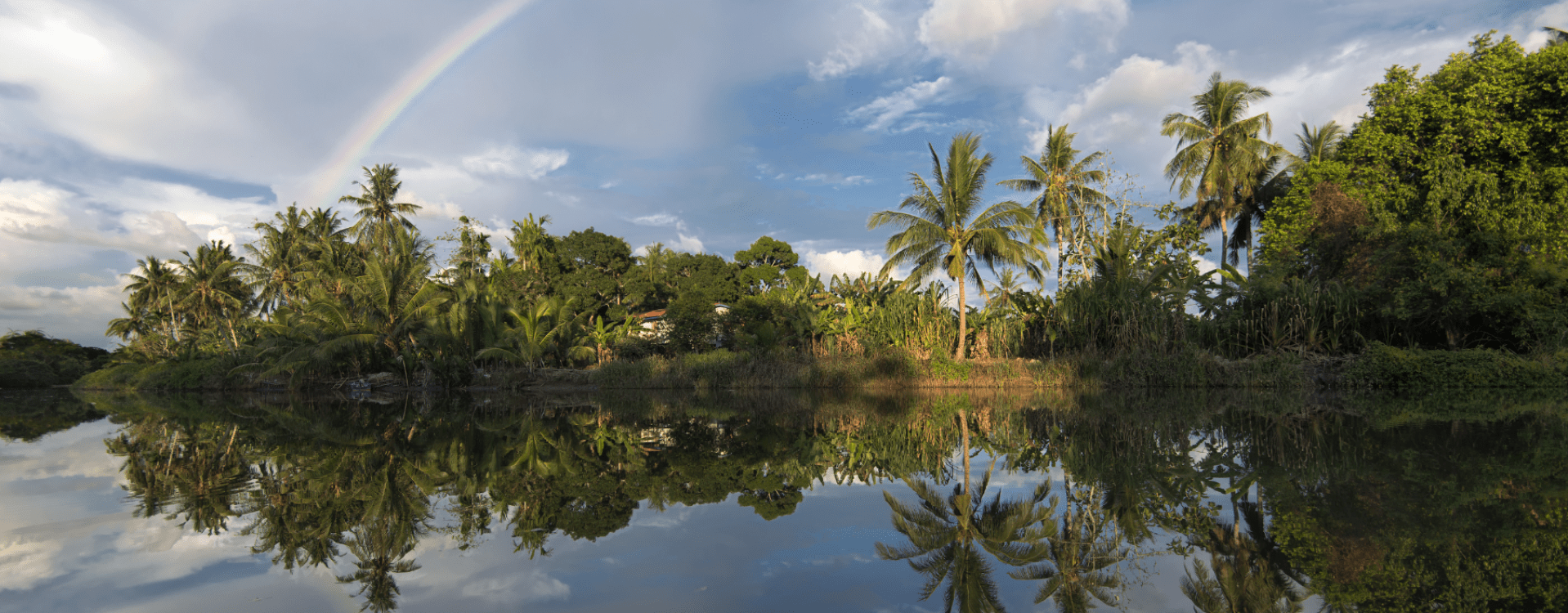 Wildlife in Kinabatangan River