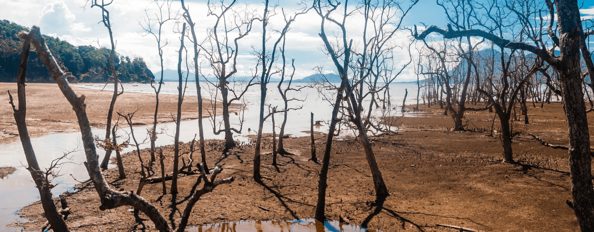 Bako National Park