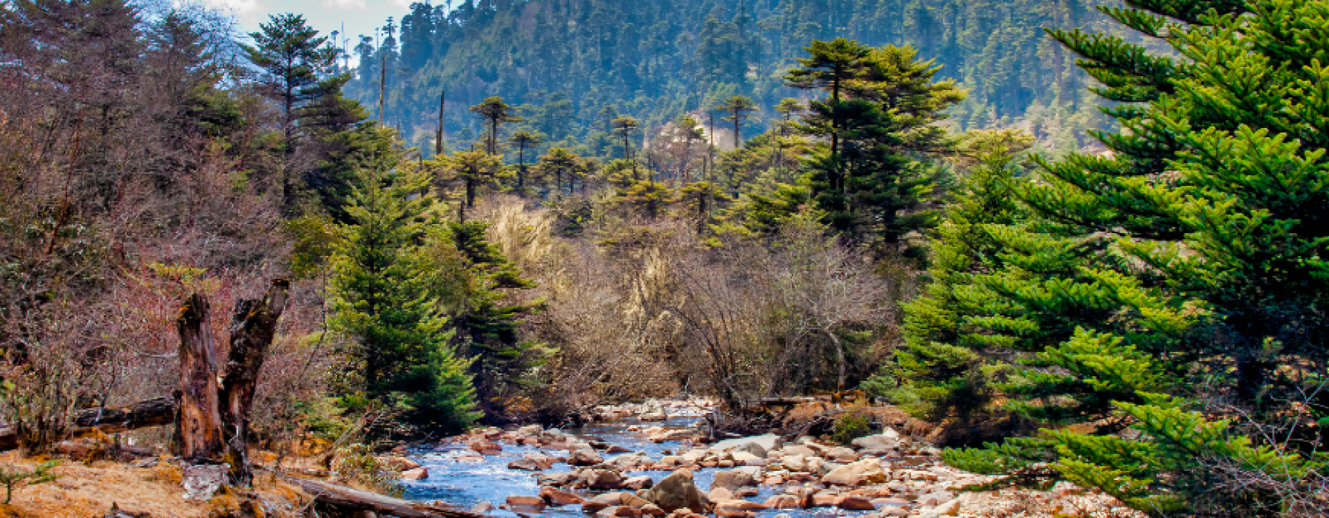 Chitwan National Park