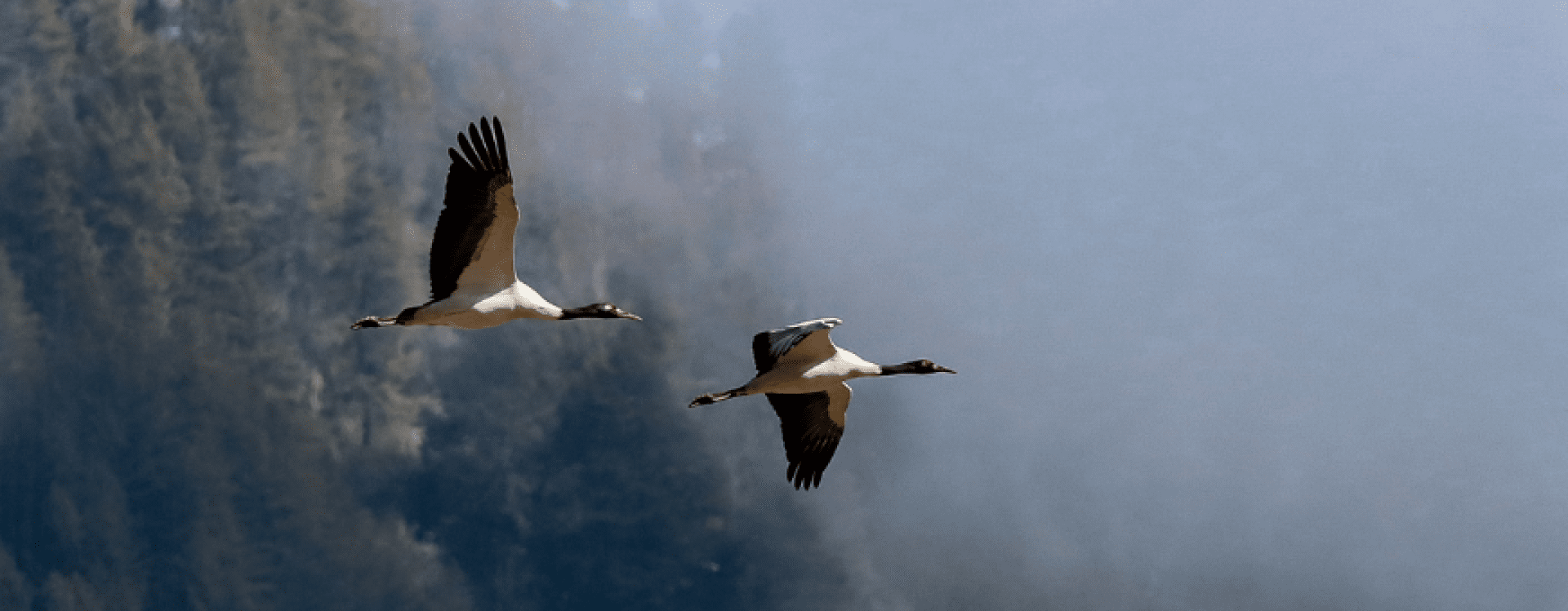 Kathmandu, Pashipatinath tempel