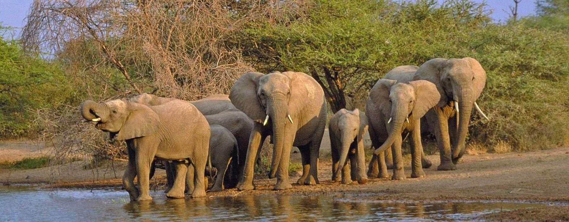 Kruger National Park